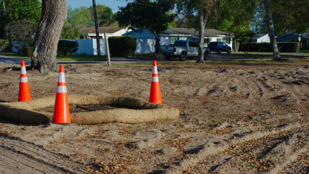 About Eminent Domain
